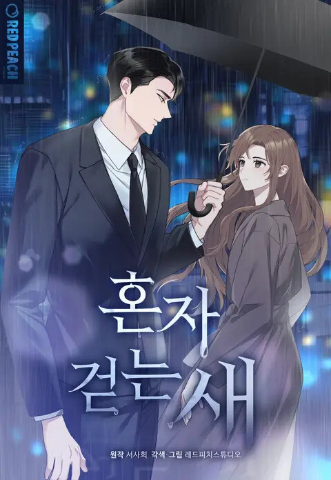 Cover of Solitary Bird