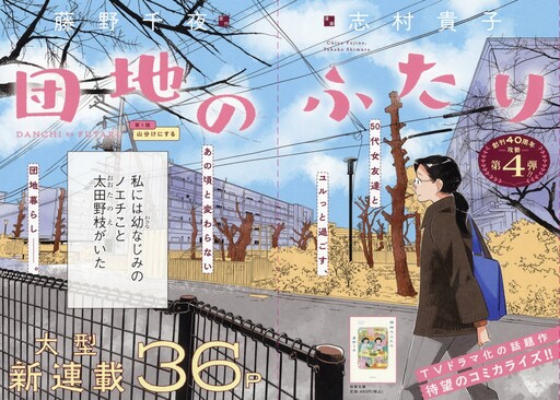 Cover of 団地のふたり