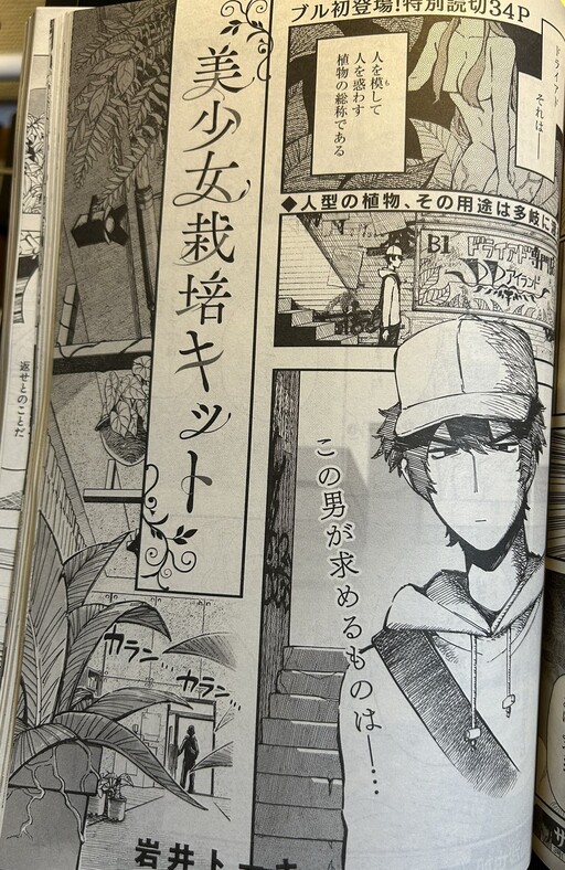 Cover of Beautiful Girl Cultivation Kit