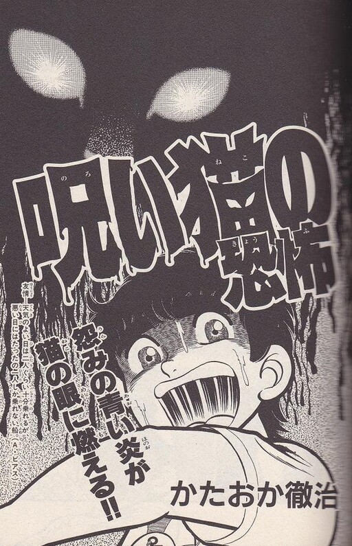 Cover of Fear of the Cursed Cat