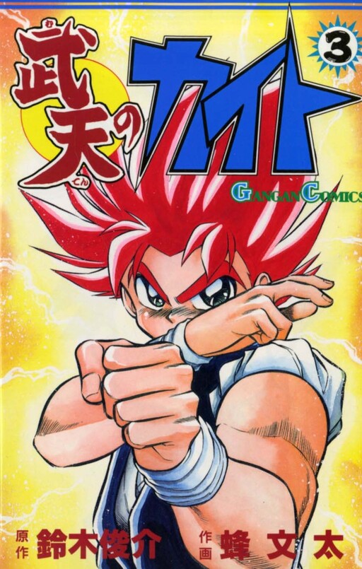 Cover of Muten's Kite