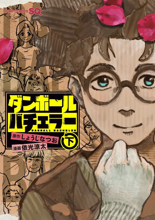 Cover of Danbooru Bachelor