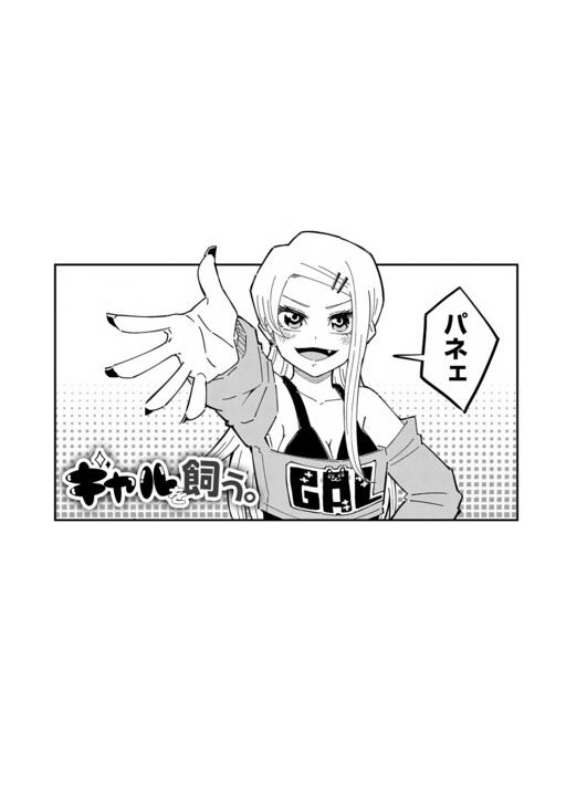 Cover of Gyaru o Kau