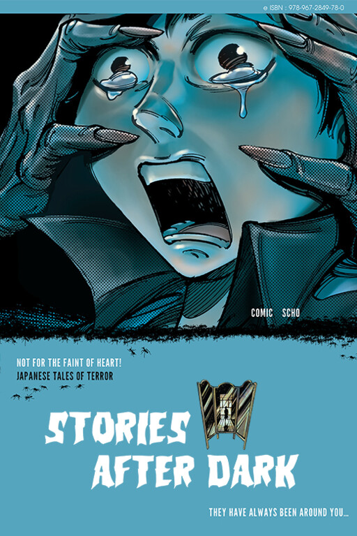 Cover of Stories After Dark: Japan