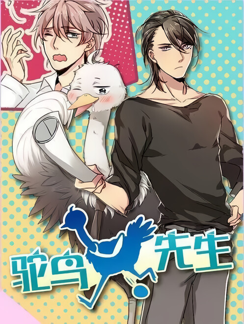 Cover of Mr. Ostrich