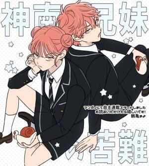 Cover of 神南兄妹の苦難
