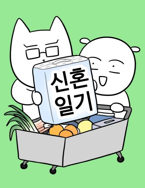 Cover of Newlywed Diary