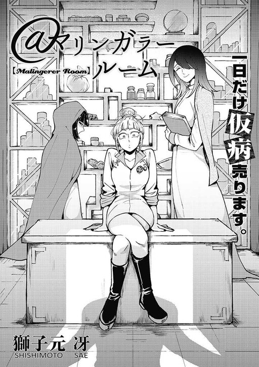 Cover of Malingerer Room