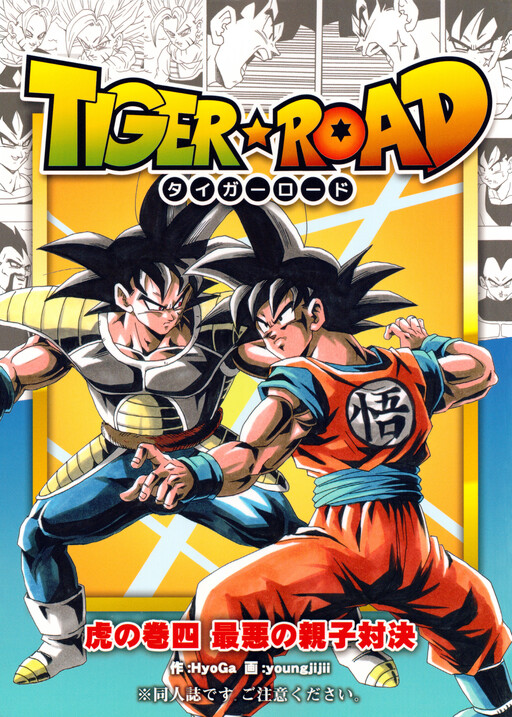 Cover of DBSP Tiger☆Road