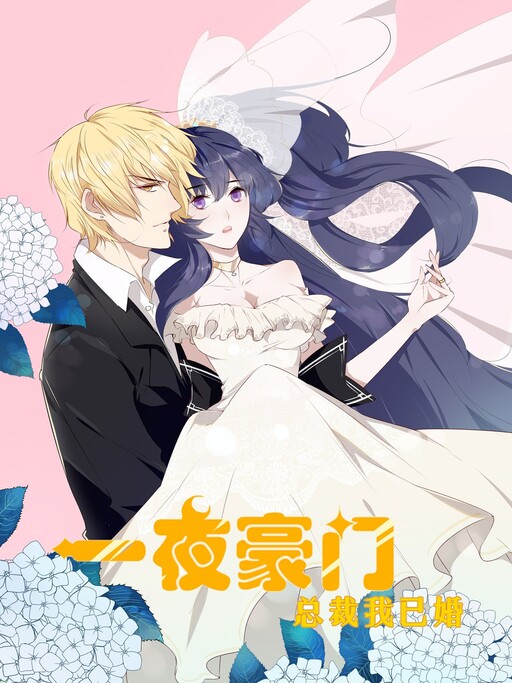 Cover of Get Rich Overnight: I Married the Director
