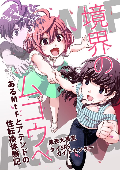 Cover of Kyoukai no Mukou e: Aru MtF to Attend no Seitankan Taikenki