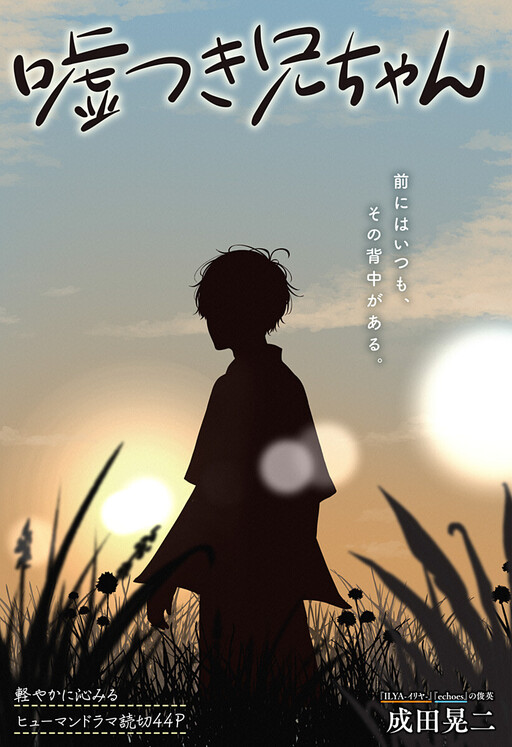 Cover of My Lying Big Brother