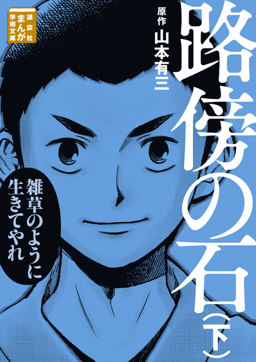 Cover of Roadside Stone