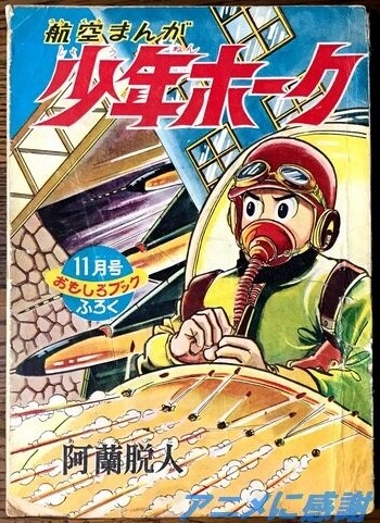 Cover of Boy Hawk