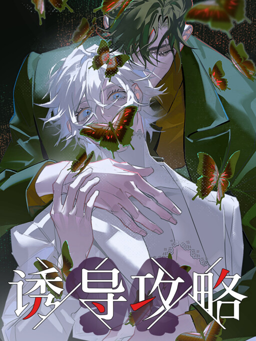 Cover of Strategy on Seduction