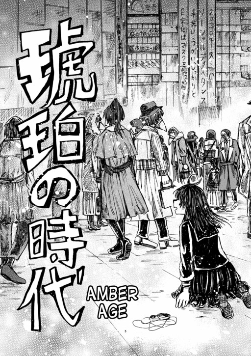 Cover of Amber Age