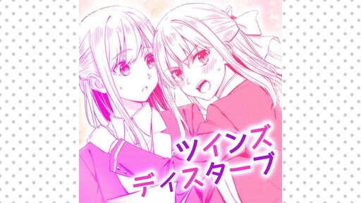 Cover of Twins Disturb