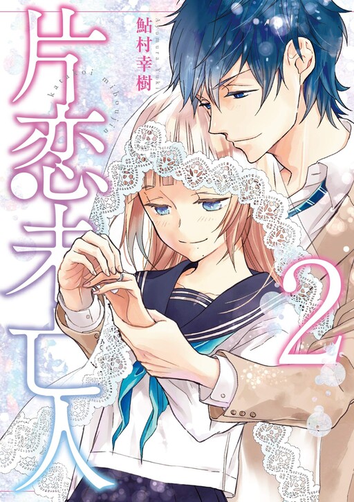 Cover of Palette Widow