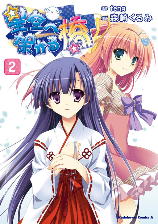 Cover of A Bridge to the Starry Sky