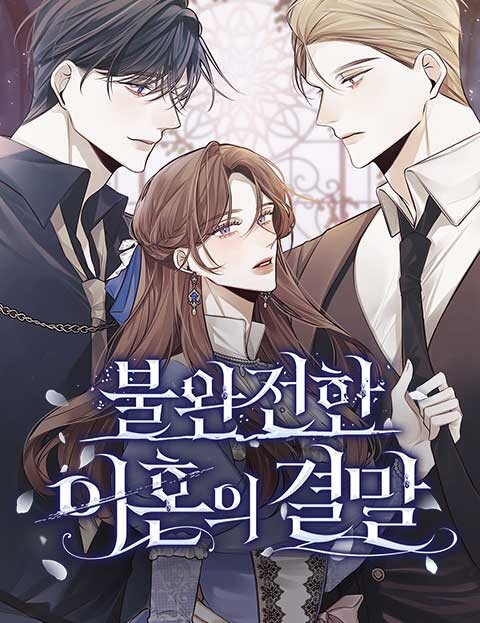 Cover of The End of an Imperfect Divorce