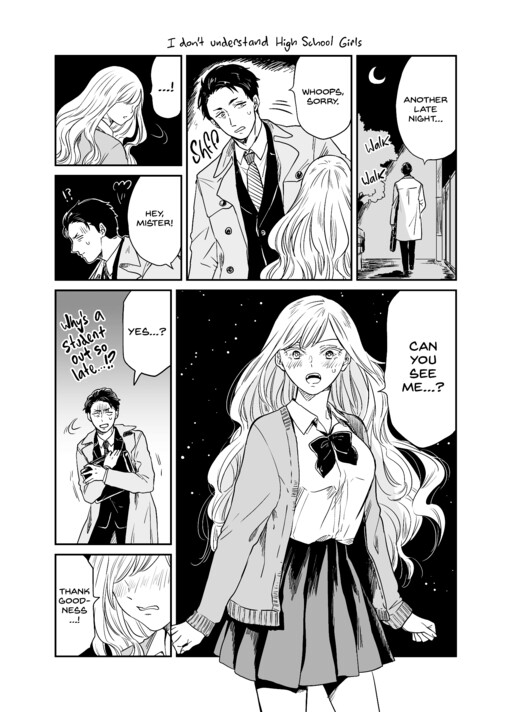 Cover of I Don't Understand High School Girls