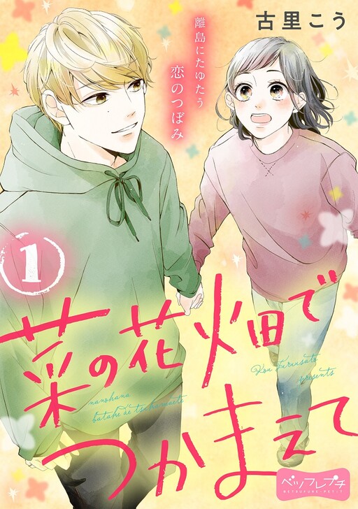 Cover of Capture My Heart at the Flower Fields