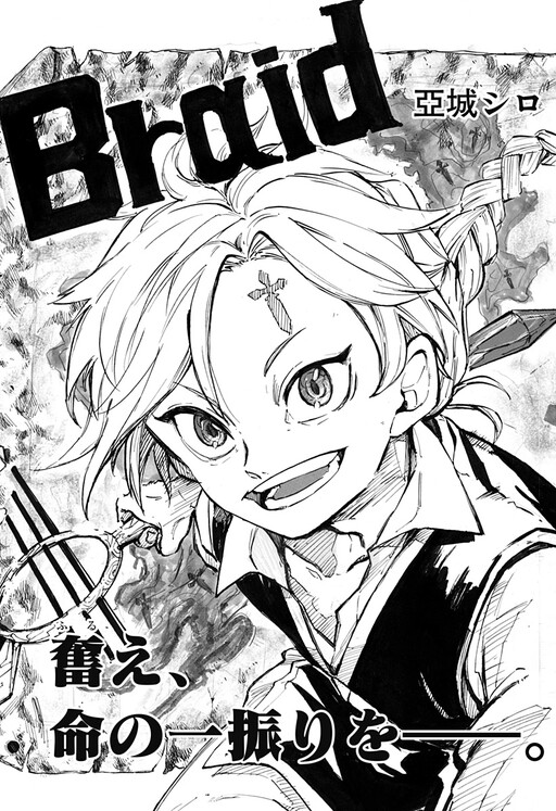 Cover of Braid