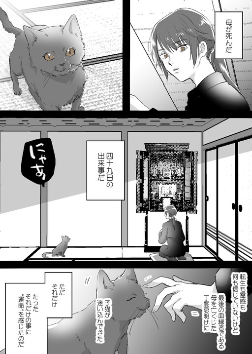 Cover of Cat, Child, and Mother