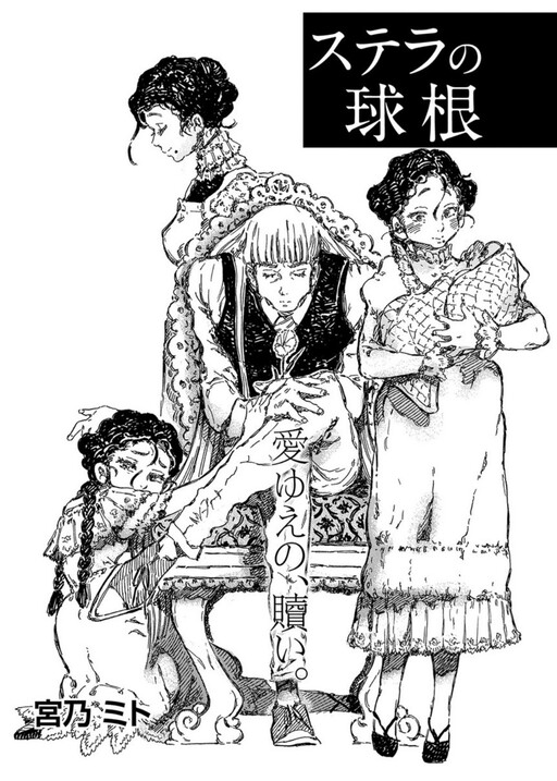 Cover of Stella no Kyuukon