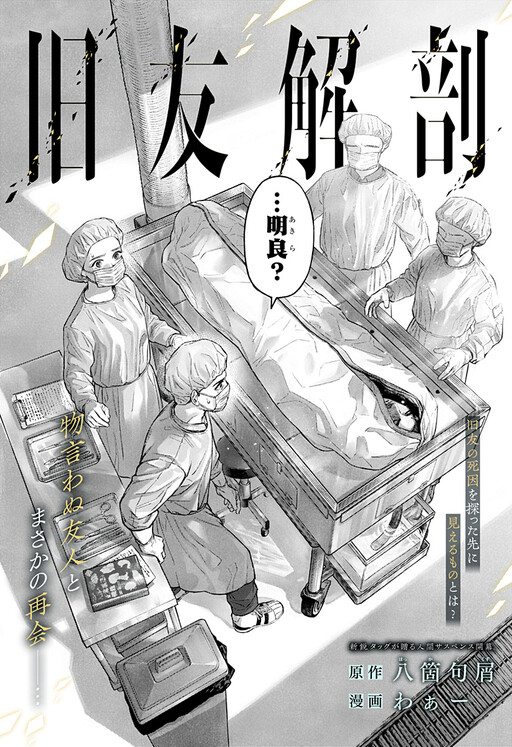 Cover of Old Friend Dissection