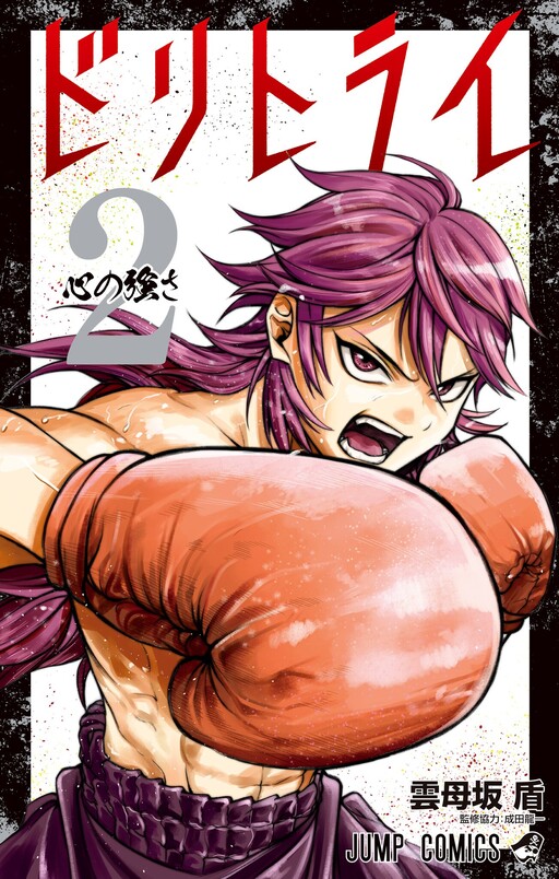 Cover of Do Retry