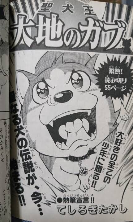 Cover of Holy Dog King Earth Gabu