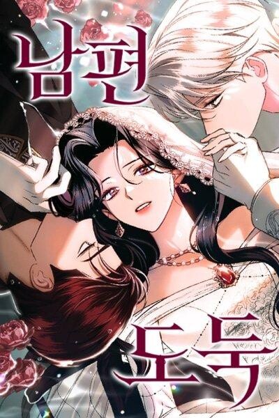 Cover of Husband Thief