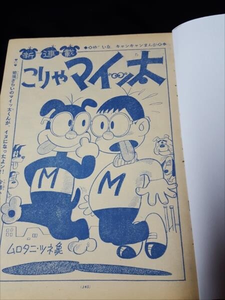 Cover of This is my Big Fat