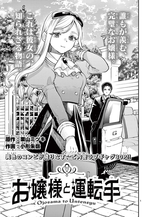 Cover of The Young Lady and The Chauffeur