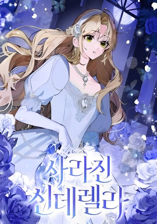 Cover of Cinderella Disappeared