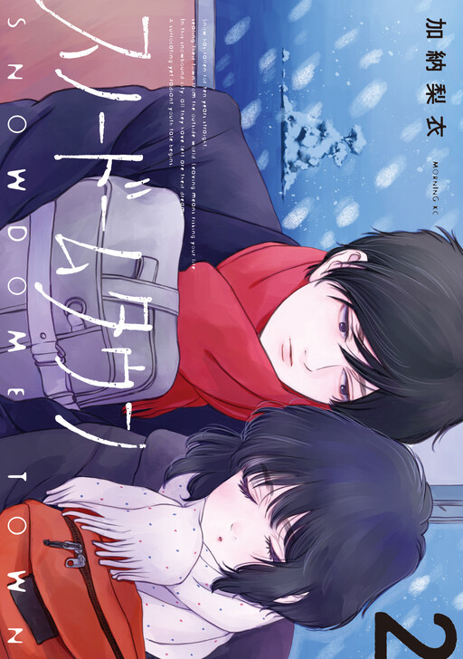 Cover of Snow Dome Town