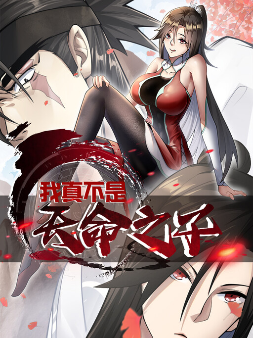 Cover of I'm Not the Son of Destiny