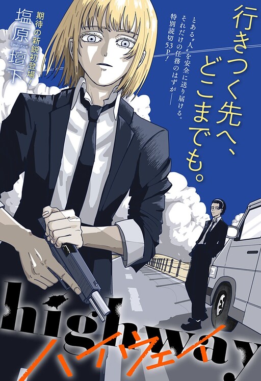 Cover of highway