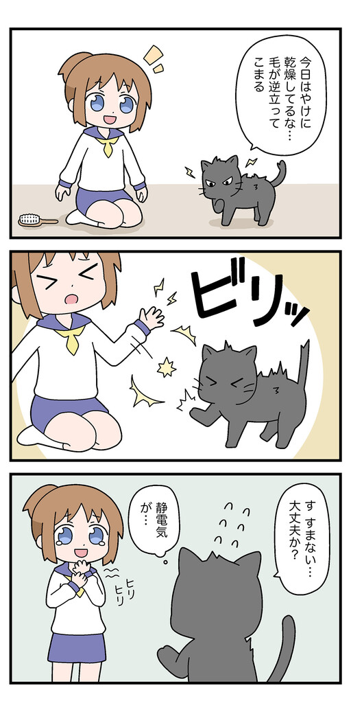 Cover of Neko-chan to Fuwafuwa Burashi