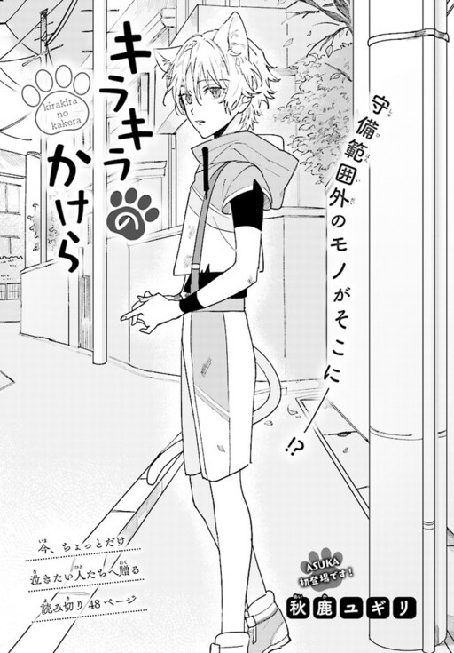 Cover of Shining Fragment