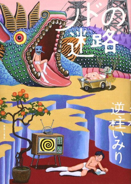 Cover of Maze of the Throat