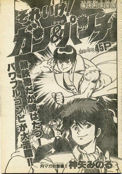 Cover of Gun & Punch
