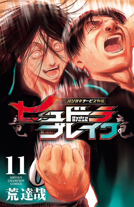 Cover of Hydra Break