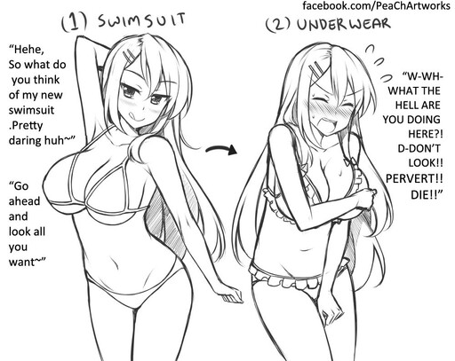 Cover of Swimsuit v Underwear
