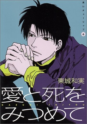 Cover of Black Tulip