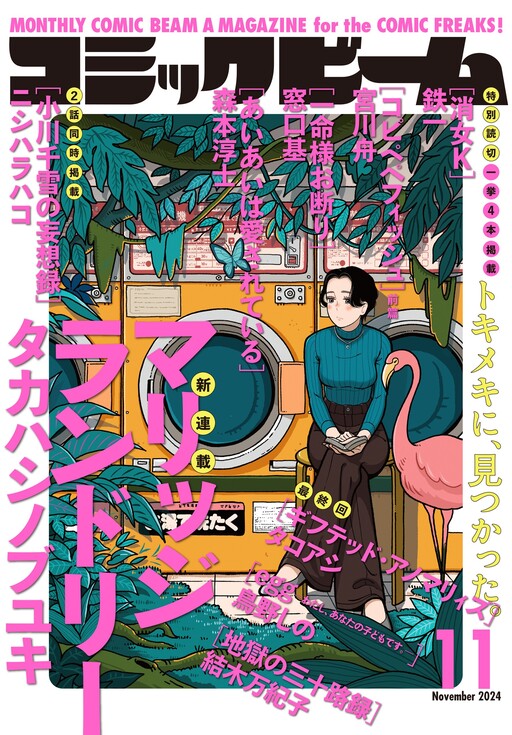 Cover of Marriage Laundry