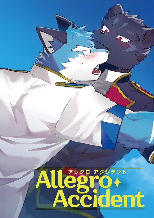 Cover of Allegro Acident