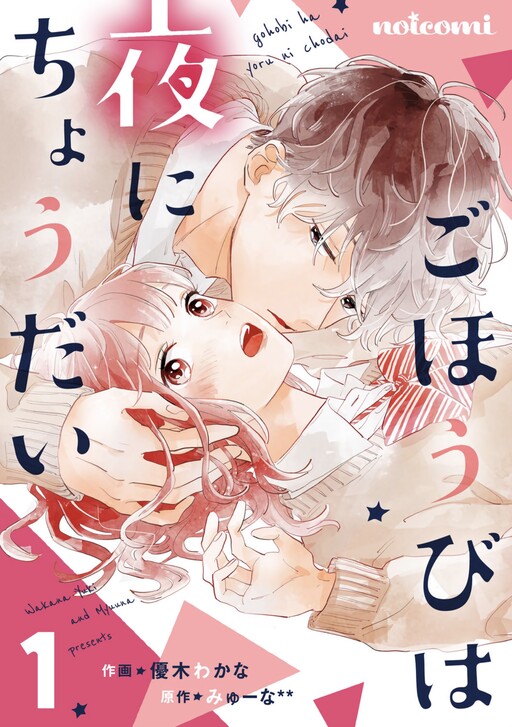 Cover of Reward me at Night