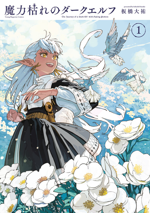 Cover of The Journey of a Dark Elf with Fading Powers